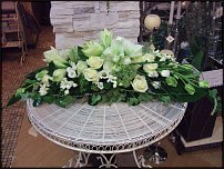 www.floristic.ru - .  