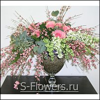 www.floristic.ru - .       8 !!!