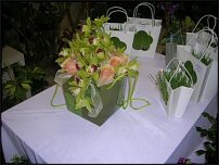 www.floristic.ru - .       - ?