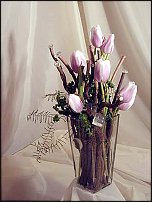 www.floristic.ru - . .