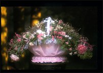 www.floristic.ru - .       
