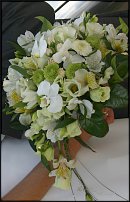 www.floristic.ru - .  .