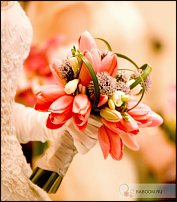 www.floristic.ru - . .