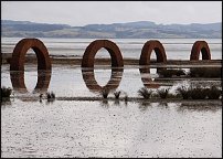 www.floristic.ru - . Andy Goldsworthy