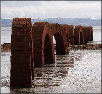 www.floristic.ru - . Andy Goldsworthy