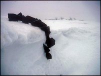 www.floristic.ru - . Andy Goldsworthy