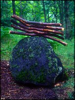 www.floristic.ru - . Andy Goldsworthy