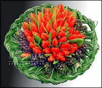 www.floristic.ru - . .