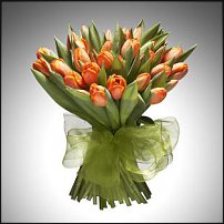 www.floristic.ru - . .