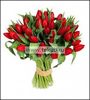 www.floristic.ru - . .