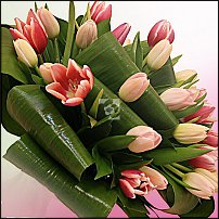 www.floristic.ru - . .