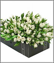 www.floristic.ru - . .