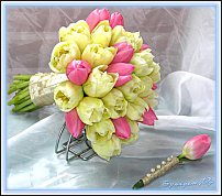 www.floristic.ru - . .