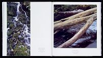 www.floristic.ru - . Andy Goldsworthy