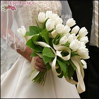 www.floristic.ru - . .