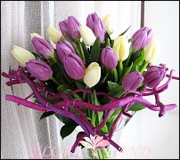 www.floristic.ru - . .