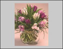 www.floristic.ru - . .