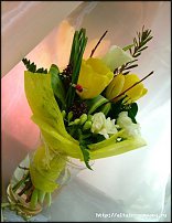 www.floristic.ru - . .