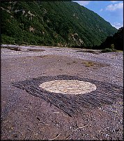 www.floristic.ru - . Andy Goldsworthy