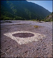 www.floristic.ru - . Andy Goldsworthy