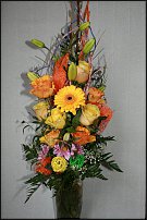 www.floristic.ru - .  .