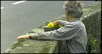 www.floristic.ru - . Andy Goldsworthy