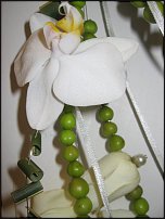 www.floristic.ru - .    