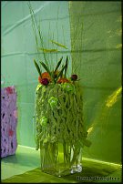 www.floristic.ru - .    