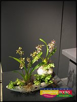 www.floristic.ru - . Elly Lin