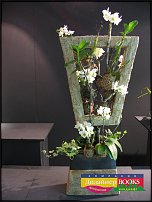 www.floristic.ru - . Elly Lin