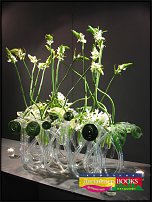 www.floristic.ru - . Elly Lin