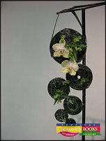 www.floristic.ru - . Elly Lin