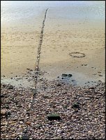 www.floristic.ru - . Andy Goldsworthy