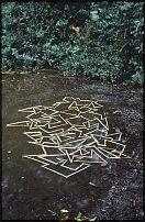 www.floristic.ru - . Andy Goldsworthy