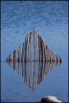 www.floristic.ru - . Andy Goldsworthy