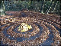 www.floristic.ru - . Andy Goldsworthy