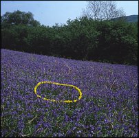 www.floristic.ru - . Andy Goldsworthy