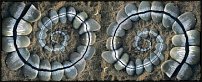 www.floristic.ru - . Andy Goldsworthy