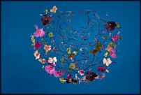 www.floristic.ru - .    