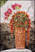 www.floristic.ru - .    