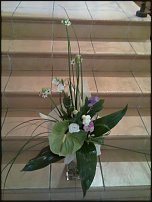 www.floristic.ru - .  