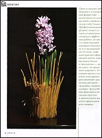 www.floristic.ru - . Hyacinthus - 