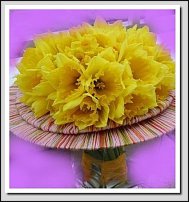 www.floristic.ru - . -Narcissus