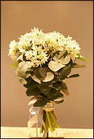 www.floristic.ru - . -Narcissus