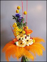 www.floristic.ru - . -Narcissus