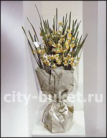 www.floristic.ru - . -Narcissus