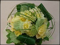 www.floristic.ru - . -Narcissus