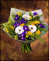 www.floristic.ru - . -Narcissus