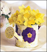 www.floristic.ru - . -Narcissus