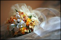 www.floristic.ru - . -Narcissus